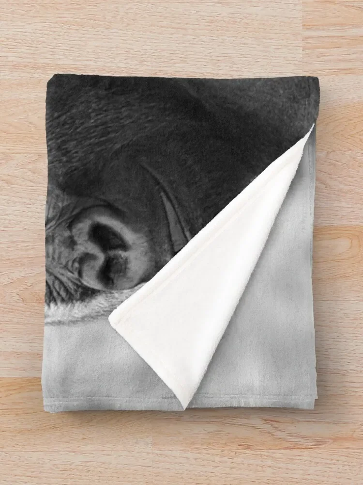 ������ ������ ������ ���, ���Ŀ� ���� ���, ǫ���� ����