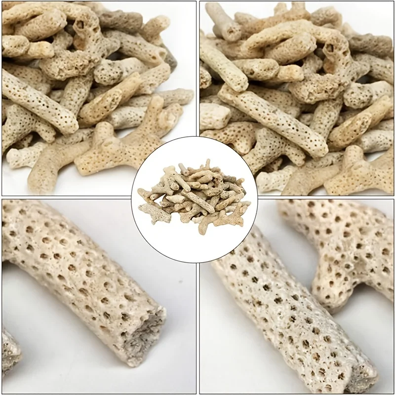 Sable de corail naturel pour aquarium, média filtrant et tampon de pH 300 g