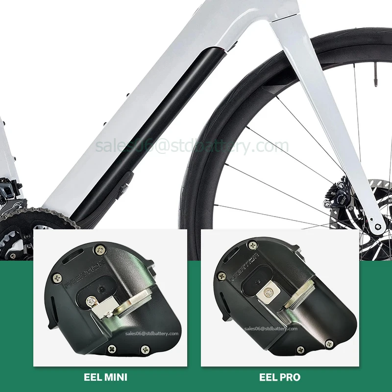 Lithium Battery Pack 36V 48v Ebike Battery Reention EEL Mini Pro lithium ion 18650 Akku 14Ah 10.4Ah Electric Bike Batteria with charger for 350w 500w