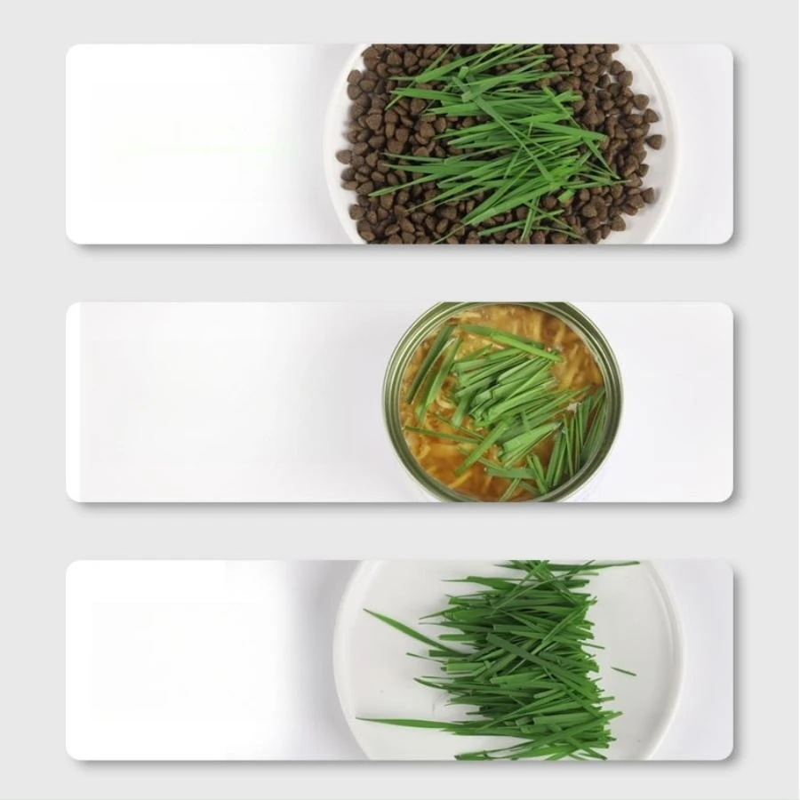 Soilless hydroponic growing cup Hydroponic cultivation hydroponic growing cup