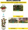 Tomato Cages, 11.8" x 11.8" x 46.1", 10 Packs Square Plant Support Cages, Silver PVC-Coated Steel Tomato Towers 5