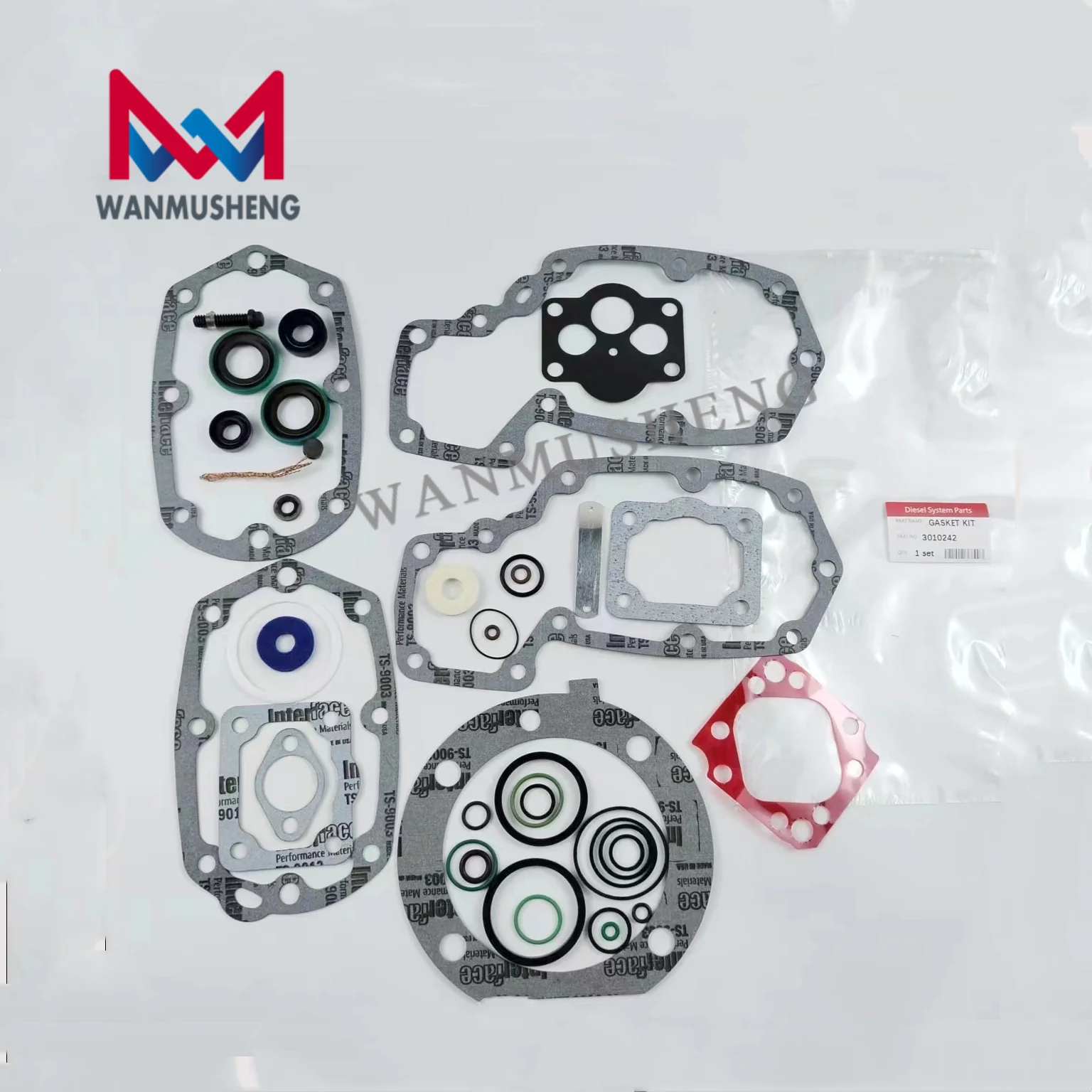 Hot Sale Diesel Fuel Repair Kit Gasket and O-Ring 3010242 for PT Pump