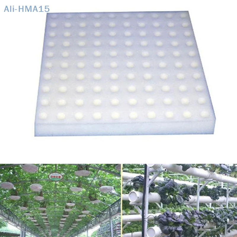 

100 Pcs Soilless Hydroponic Vegetables Nursery Pots Nursery Sponge Culture Facilitate The Transplant Survival Rate Is High