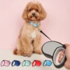 3m 5m Nylon Small Dog Leash Candy Color Puppy Retractable Automatic Extending Travel Walking Running Rope Pet Cat Accessorie 2