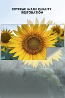 Metal anti glare screen, simple version, 30~133 inches, no need for punching installation, high-definition 4K projection screen - Image 4