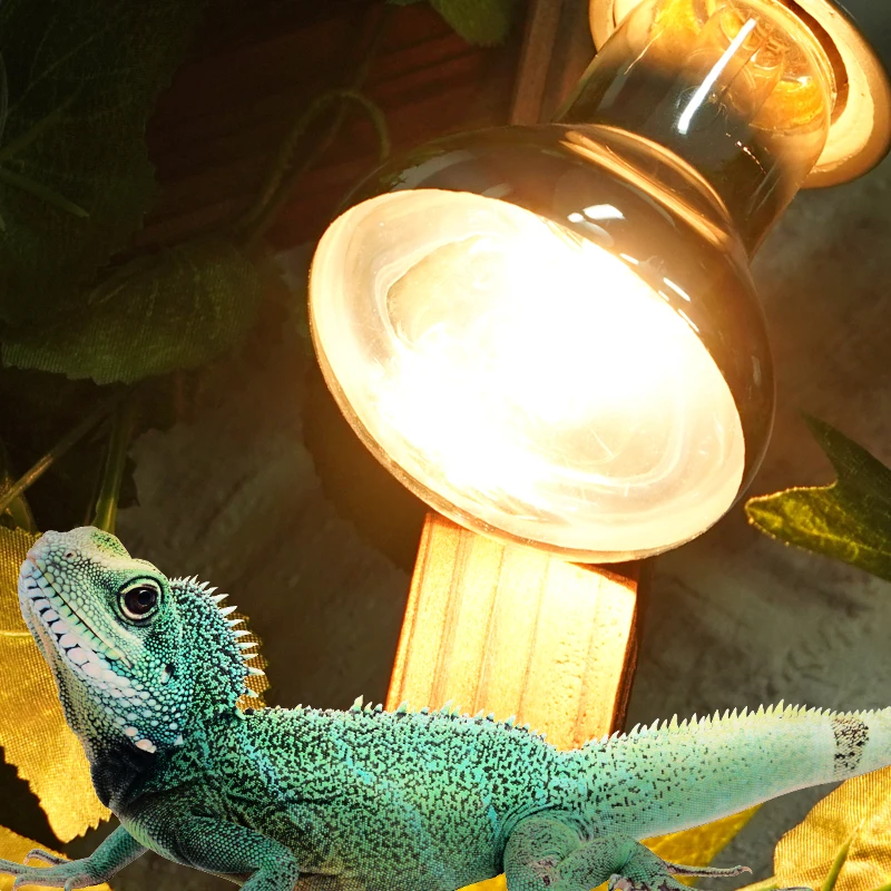 Full Spectrum 40W/60W Pet Reptile Heating Lamp UVA+UVB Turtle Basking UV Light Bulbs Heating Lamp Amphibians Lizards