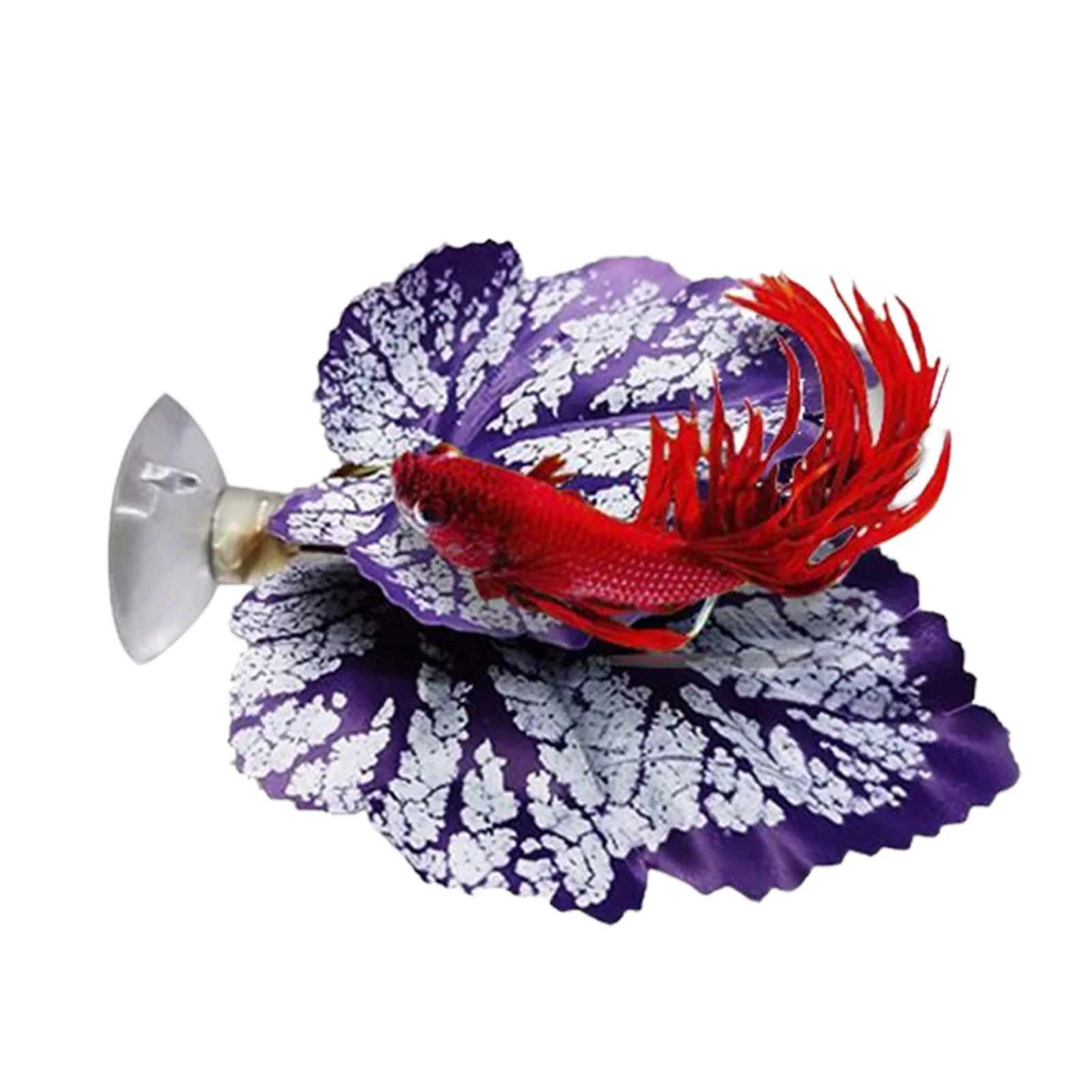 Betta Fish Leaf Hammock Decorazioni Per Acquario Betta Fish Leaf Bed Pad Plant Leaf Pad Pesce Riproduzione Fondi Allevamento Letto Di Riposo