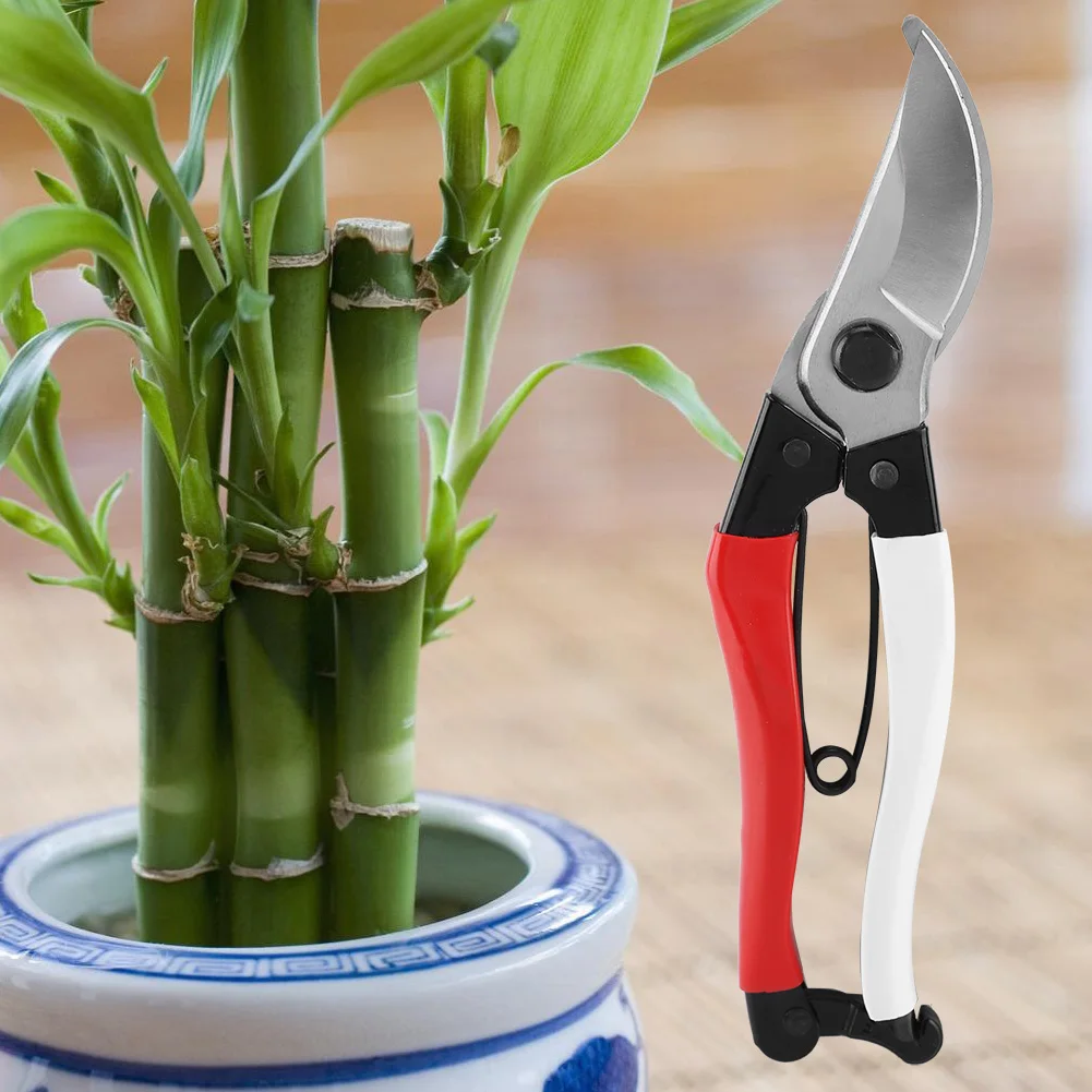 Garden Scissors Pruning Shears Garden Tools for Plant Trimming
