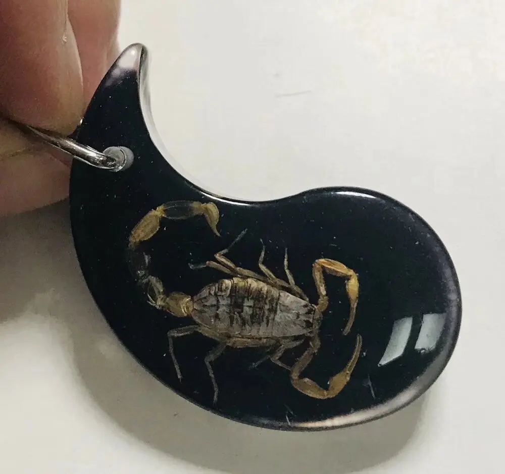 

Винтажные брелоки для мужчин с гравировкой скорпиона, 12 шт.