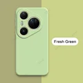 Fresh Green