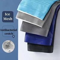 5 pièces/sous-vêtements pour hommes été glace sous-vêtements en soie grande taille culotte Cool respirant Sexy Boxer culotte maille sous-vêtement confort L-5XL 2