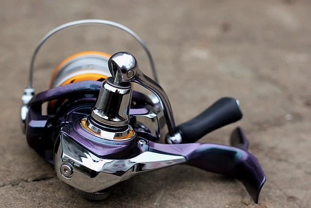 Buy Daiwa Regal LT Spin Reel-RGLT3000D-C Blue at Ubuy Nepal