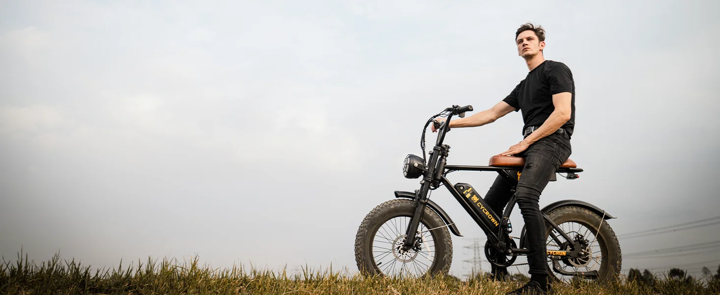 electric bike