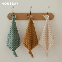 Baby Blanket For Newborn Appease Towel 1Pc Security Blanket Winter Doudou Velvet Soft Infant Facecloth Can Hanging Soother 2