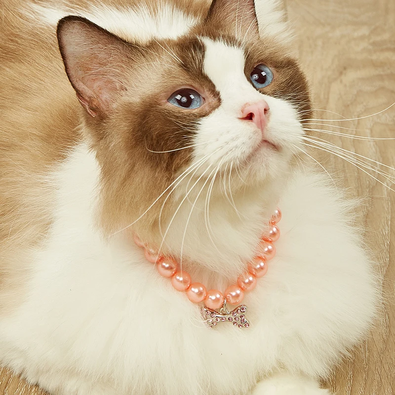 Breakaway Ragdoll Collare Di Gatto Ciondolo Di Perle Necklack Bling Strass Accessori Per Animali Domestici Per Sphynx Katten Arnes Gato Cats Prodotti
