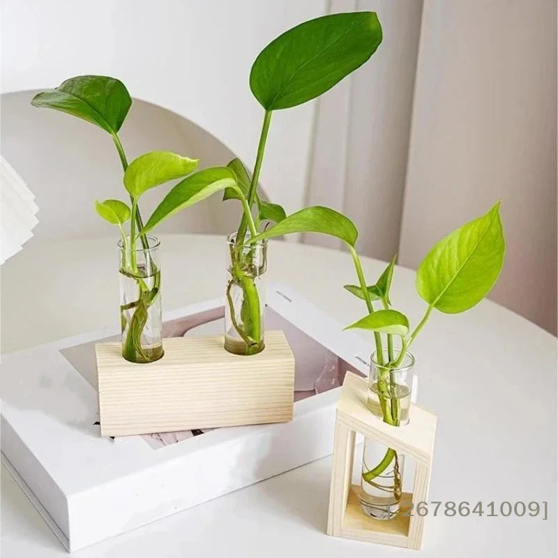 Elegant Glass Test Tube Vase with Wooden Stand for Plant Propagation and Home Decor
