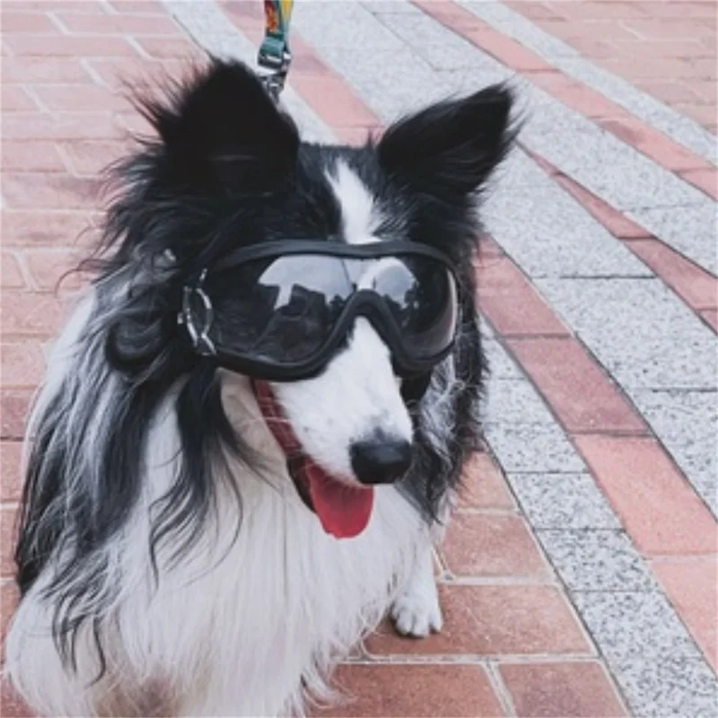 Title 16, Adjustable Pet Dog Goggles Sunglasses Anti-UV S...
