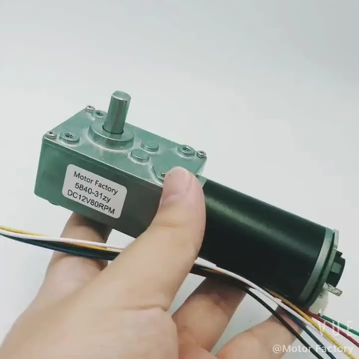 12V 200RPM 5840-31ZY Motoriduttore, Unità di controllo Unità di controllo velocità motore autobloccante Magnetico Permanente DC Turbo Worm Riduzione Motore Gearbox per Elettrodomestici