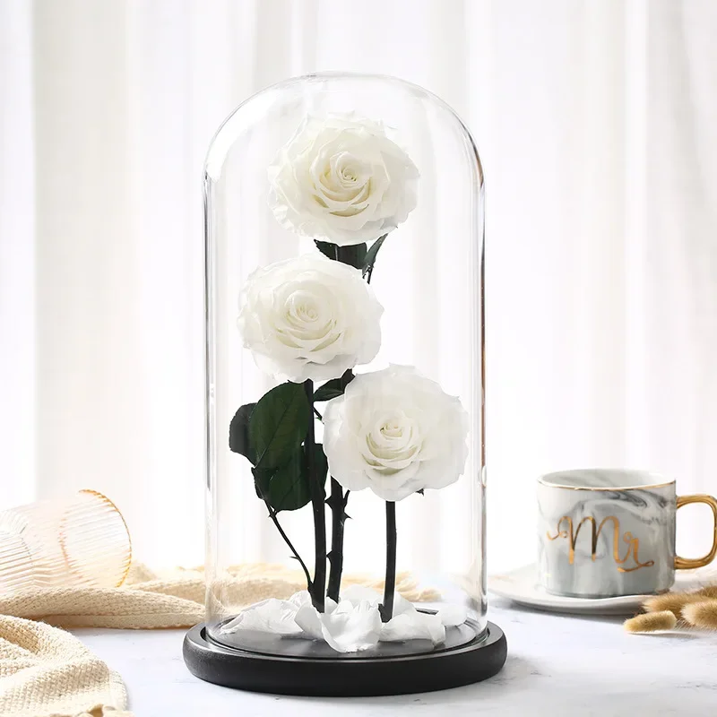

3 Eternal Roses In Glass Cover Preserved Fresh Real Roses Big Valentine's Day Gift Romantic Rose Love Gift Rose