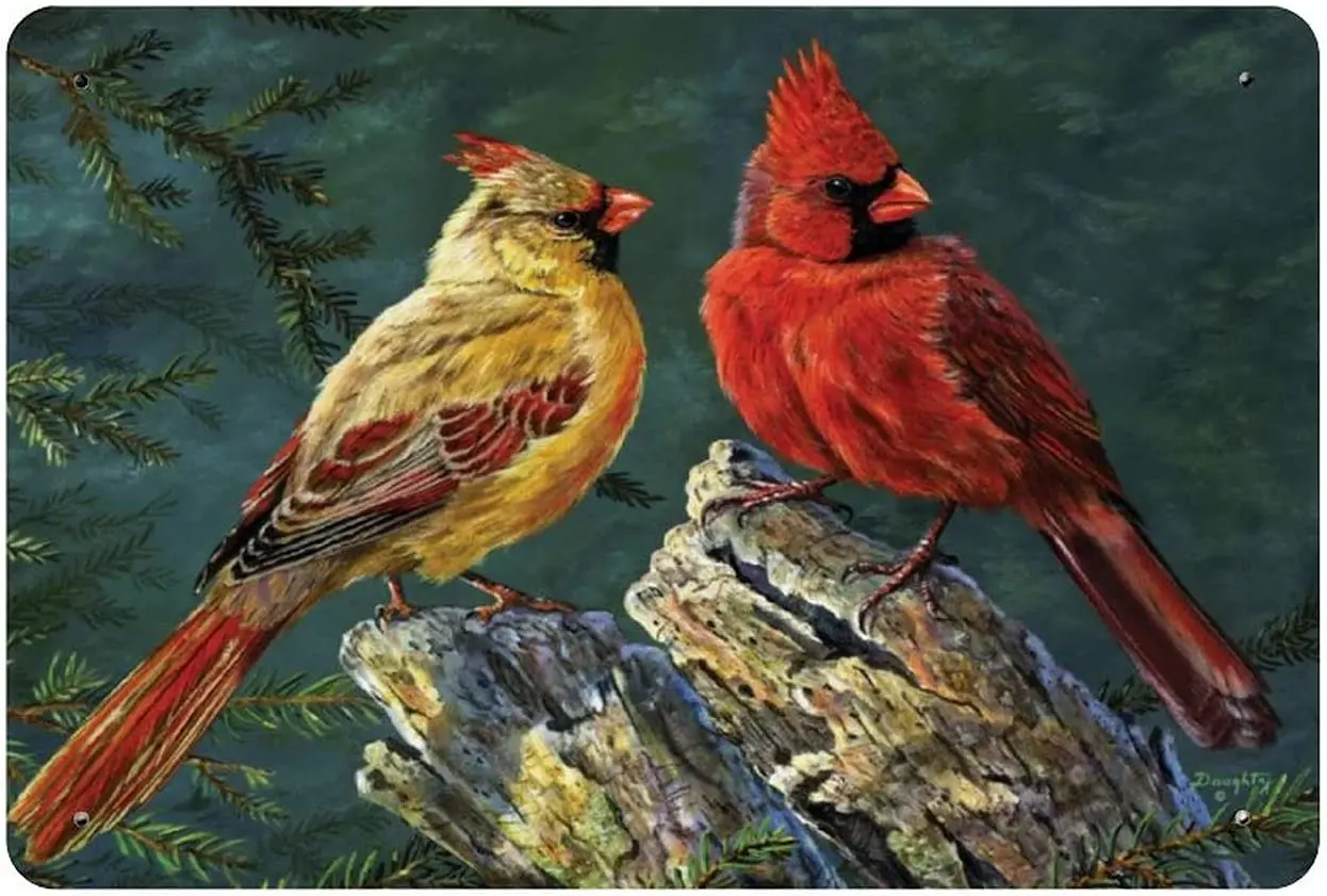 

Металлический жестяной знак Cardinal Bird, винтажная табличка постер для гаража, бара, домашнего декора стен 8X12 дюймов