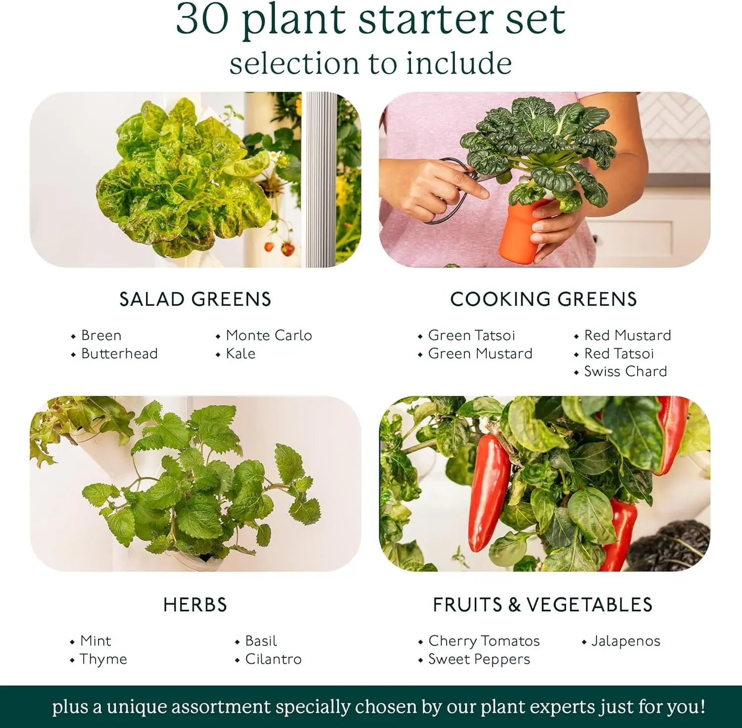 3.0 Hydroponic Vertical Garden Planter 3
