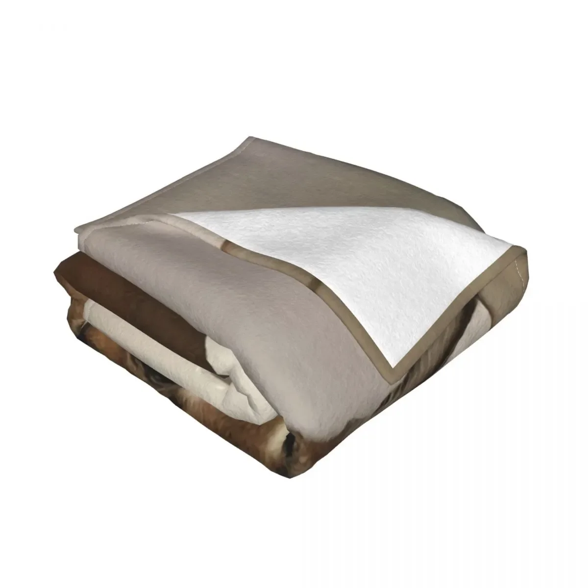 ���� �÷��� ī��Į ������ �Ϳ��� �� ���, ������ �ö��� ��� ���, ����, �ڵ��� ħ�� ħ�뺸, ����ǰ