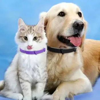 Waterproof Adjustable Pet Collar 1