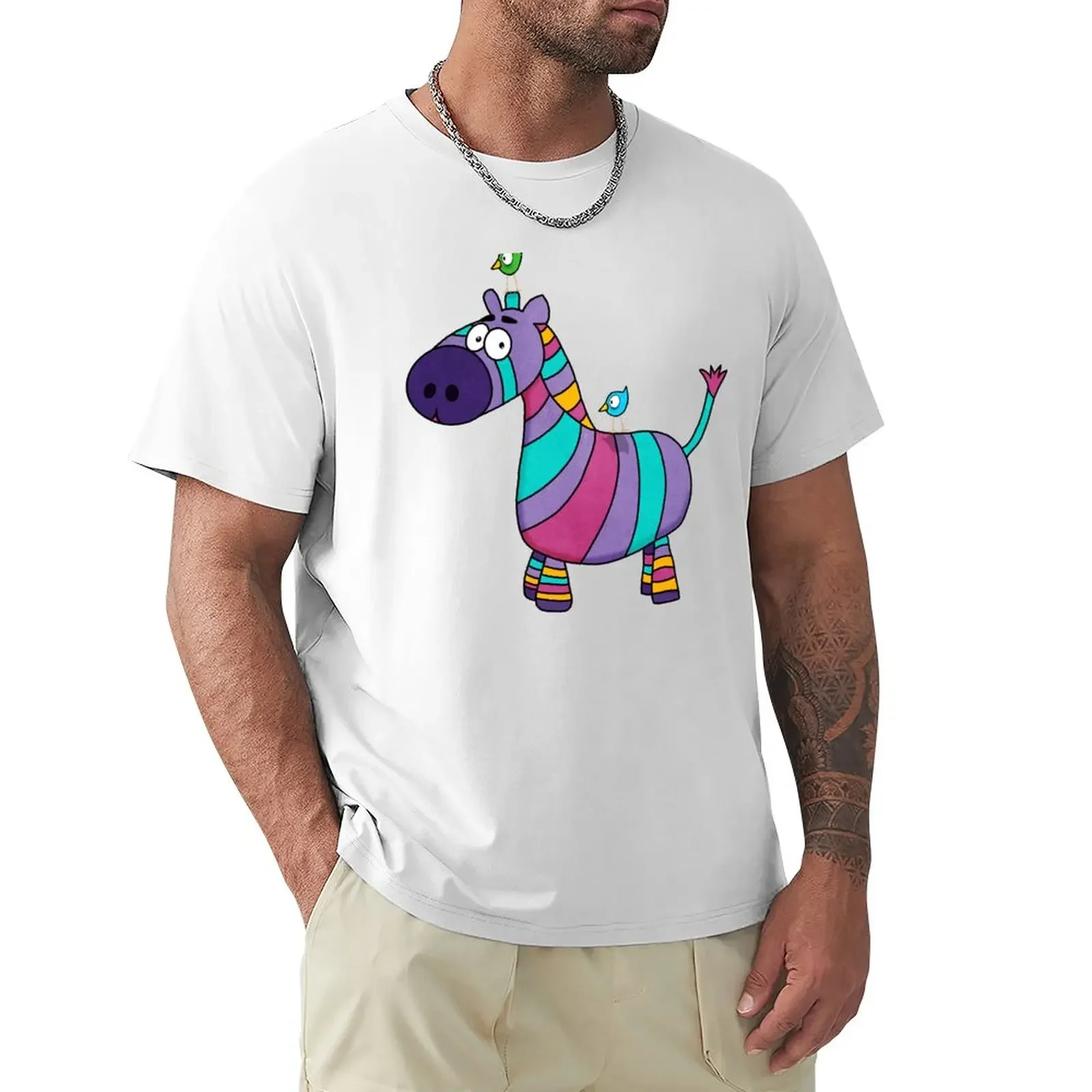 

Colorful Zebra and his bird friends T-Shirt Aesthetic clothing anime clothes Short sleeve tee workout shirts for men
