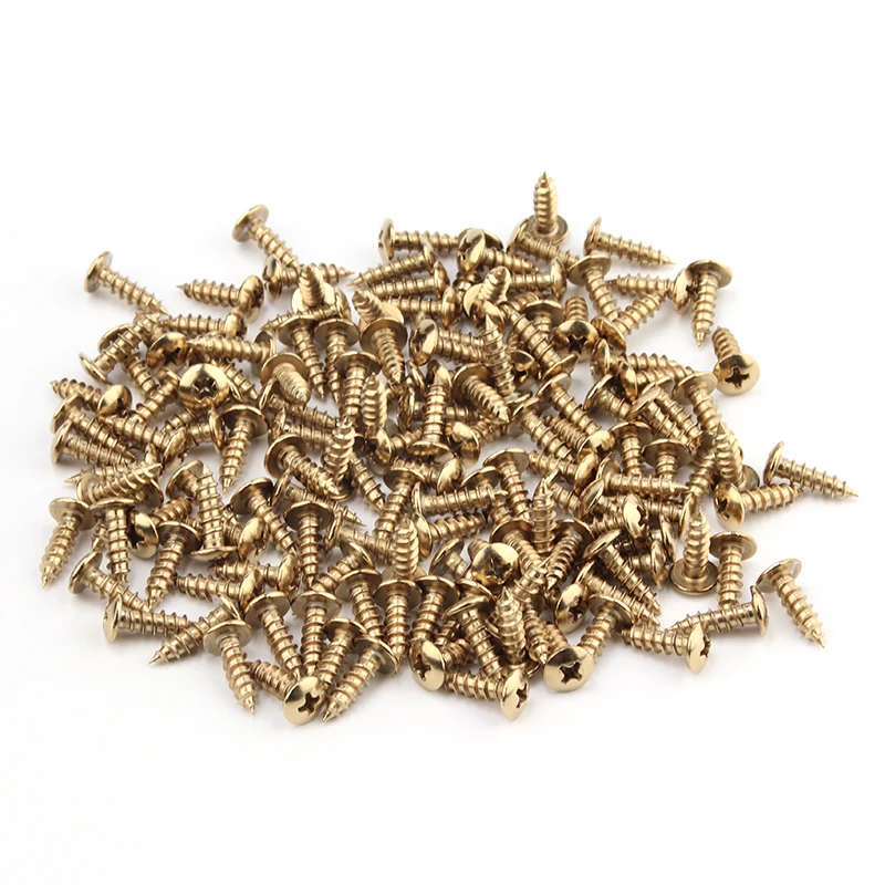 Stainless Steel Screw M5*16mm Cross Head Self-tapping for Motorcycle Electric Car