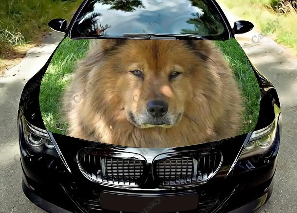 

Animal Chow Family Dog Lover Car Hood Vinyl Decal Sticker Wrap Vinyl Film Engine Cover Decals Sticker Car Hood Cover Decal Film