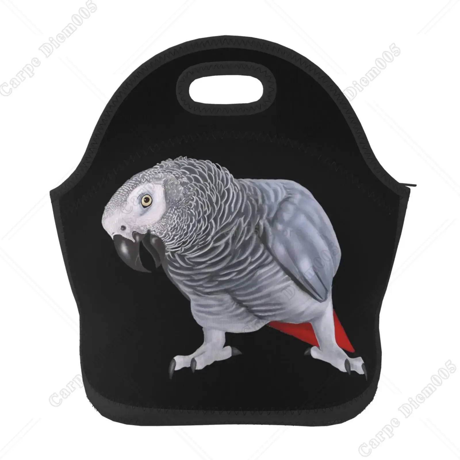 Parrot Bird Lunch Box Reusable Bag Tote Bag Insulated Food for Women Men Lunch Box for Camping Gifts School