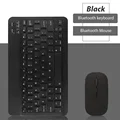 Black-and mouse