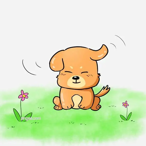 SS Pet Supplies Specialty Store Store