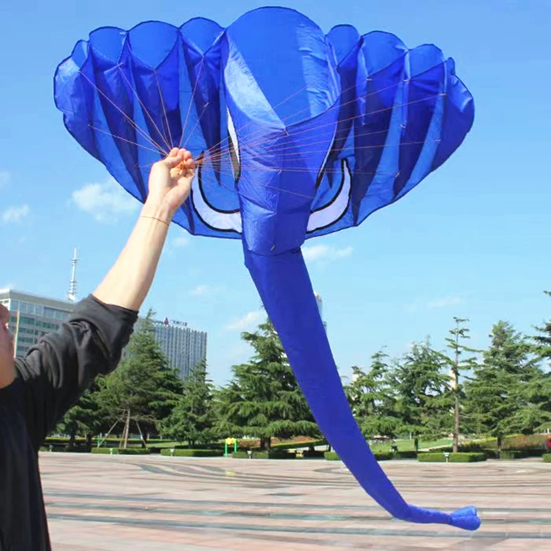 Topcobe 3D Giant Frameless Soft Parafoil Kite for Outdoor & Beach & Park &  Garden, Blue, Dolphin Shape (Not Included Line) 