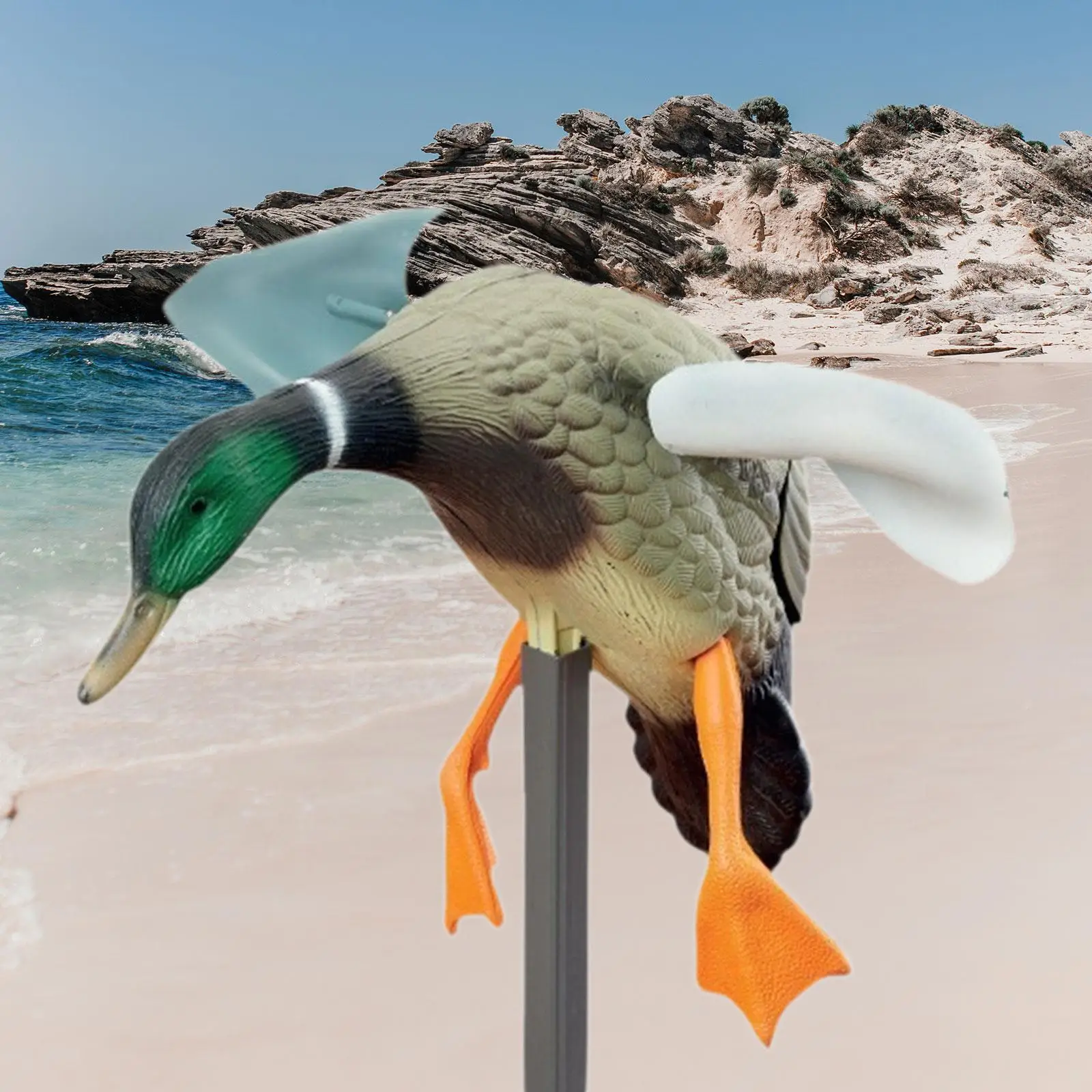 Leurres de canard mallard avec mouvement réaliste - Accessoires de chasse décoratifs