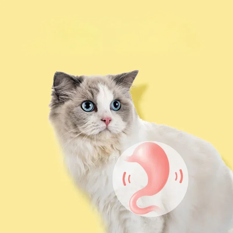 고양이 장난감 치아 청소 실버 바인 씹기 스틱, 애완 동물 간식 스틱, 새끼 고양이용 개박하와 자연 물건, 씹는 장난감