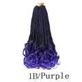 1B-PURPLE