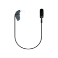 Black Single