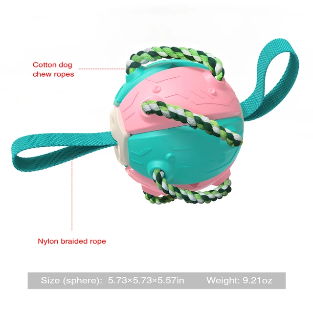 Pet Dog Toy Football Training Agility multifunzionale Dog Soccer Pet Flying Saucer Ball Toy Outdoor Interactive Toy Dog Supplies 5