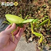 Infrared Remote Control Cockroach Simulation Animal Creepy Spider Bug Prank Fun RC Kids Toy Gift High Quality Drop Shipping 1