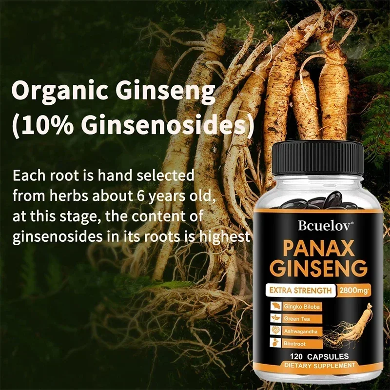 Ginseng + Ginkgo Biloba, Beetroot, Green Tea Helps with energy, endurance, blood circulation, and overall health