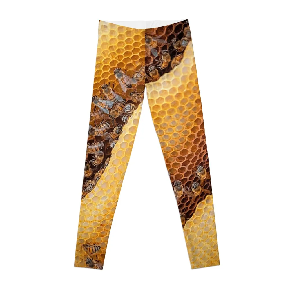 

Honeybees on honeycomb Macro Photography Leggings Sports female trousers Womens Leggings