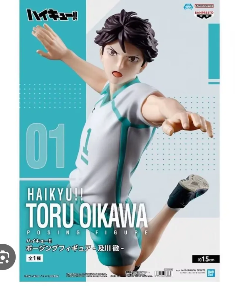 S8c5d69ccaac64d01a4d97d693131b4baN - Haikyuu Store