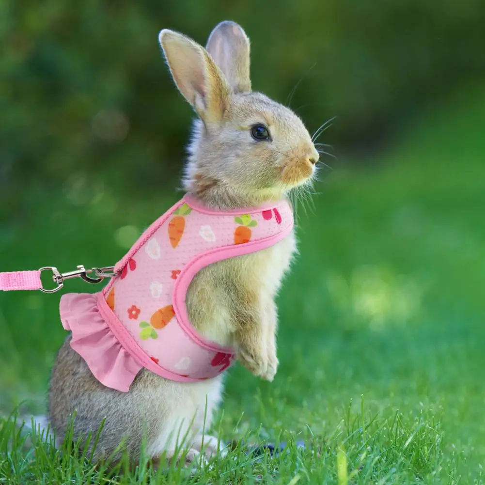 

Portable Pet Harness Stylish Cartoon Pattern Pet Harness Leash Set for Guinea Pig Rabbit Outdoor Walking Cute Bunny for Small