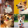 A Dozen 12 Pcs Pet Dog Ball Collar Bow Ties Colorful Collar Style Ball Collars Bowties Neckties Pet Grooming Accessories 2