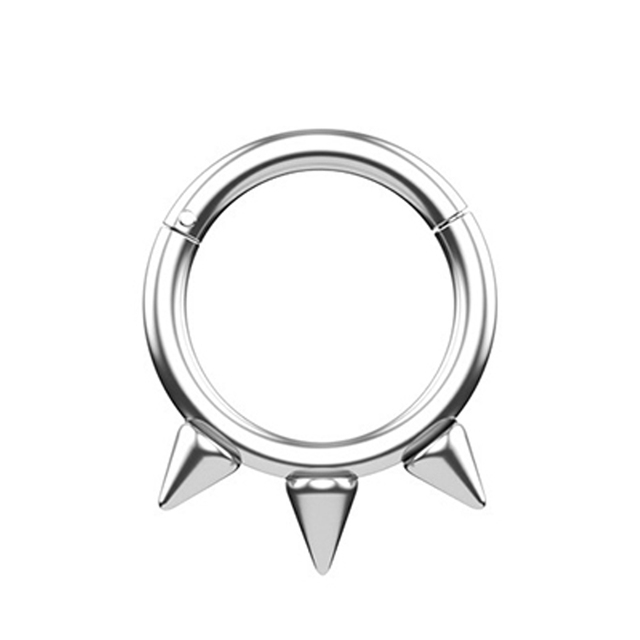 Nose Ring Hoop Septum Piercing Hinged Segment Clicker Surgical Steel Ear Cartilage Earrings Tragus Helix Daith Body Jewelry