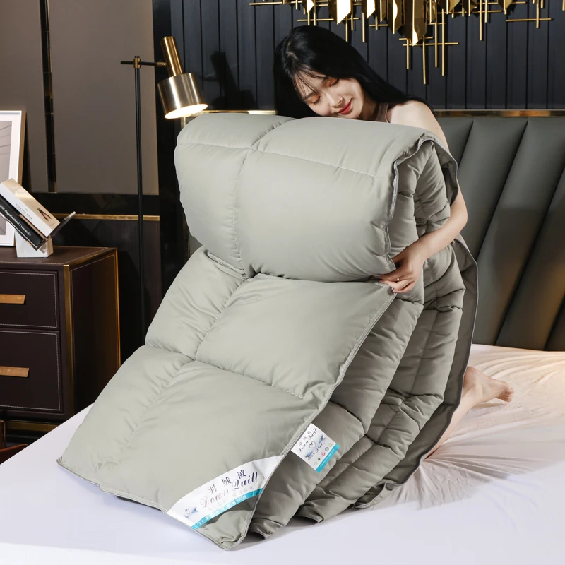 Down velvet quilt Spring Autumn Winter Comforter Four Seasons Blanket Single Double Core