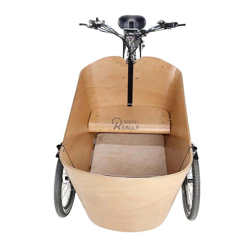 Electric Assist Pedal Cargo Bike Carry Bambini Passeggero 3 Ruote Triciclo Bakfiets Family Kids Trike