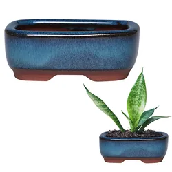 Elegant Ceramic Succulent Planter (Default)