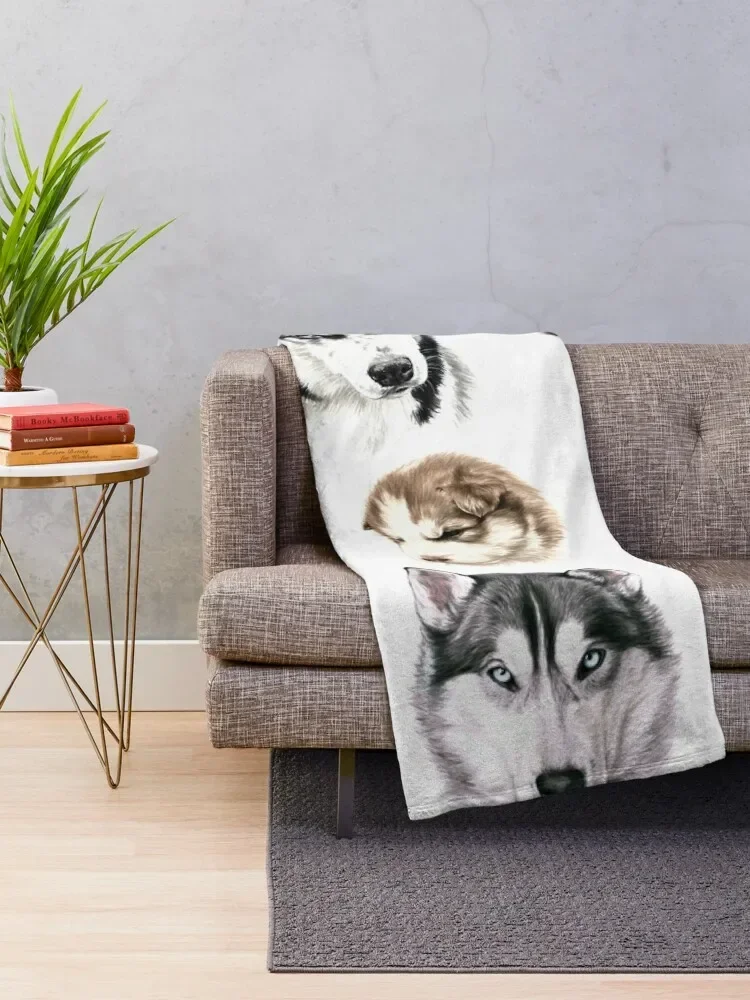 �㽺Ű �ݶ��� ������ ���, ķ�ο� �Ϳ��� ���� ���� ���, ħ�� ���